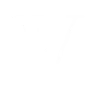 Vixen Media Group logo